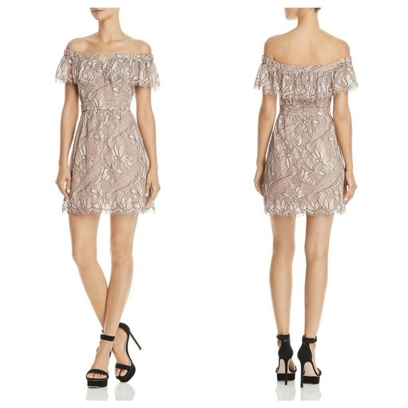 Wayf Off the Shoulder Blush Lace Mini Dress NWT - Picture 2 of 13